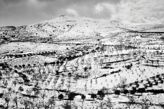 Navarra, Spain