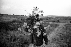 Collecting flowers, Brittany, France