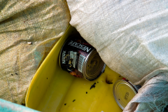 Coffee tin