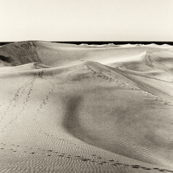Dunes
